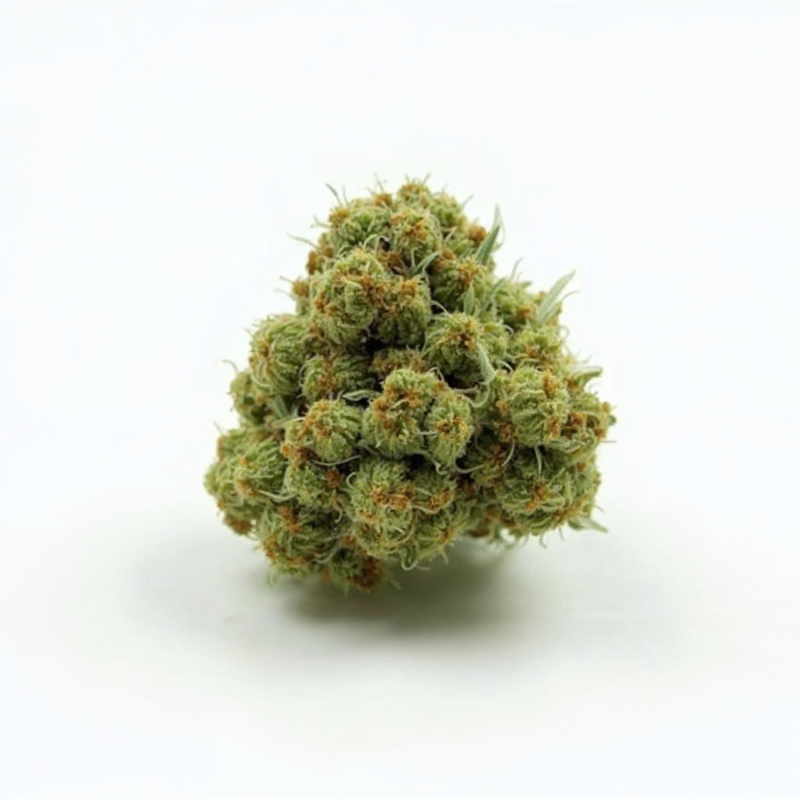 Sativa cannabis bud
